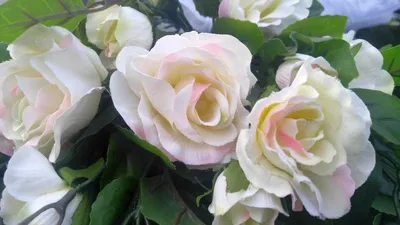 Image de Bouquet de la mariée - Décoration automobile avec des roses pour les mariages