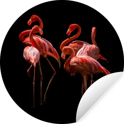 Produktbild von MuchoWow® Runde Wandtattoo - Wandsticker Tapete Aufkleber Flamingo - Rosa - Schwarz Ø 80 cm Selbstklebend und Repositionierbar - Wandaufkleber - Kreis - Mauerkreis - Wand Bilder - Wandsticker - Wohnzimmer Dekoration - Dekoration für die Wände - Aluminium - Babyzimmer