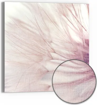 Produktbild von DEQORI Hybrid Leinwand Bild 50x50 cm 'Zarte Pusteblume' Wandbild Glas flach modern