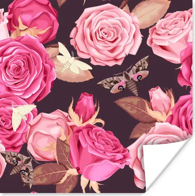 Produktbild von MuchoWow® Poster Rosen - Schmetterlinge - Natur 75x75 cm - Wand Dekoration