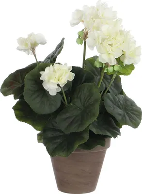 Zdjęcie produktu dla Kwiat sztuczny w doniczce z terakoty 34x20cm - ponadczasowa dekoracja