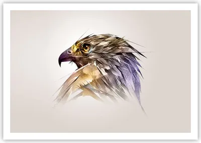Produktbild von Poster - Poster ohne Rahmen - Adler Vogel Feder - 100x70 cm - Wand Bild - Wanddeko - Wandbilder - Kunstposter - Wandposter - Bilder - Kunstdruck - Wanddekoration - Wandbild - P2XAA100x70-3936