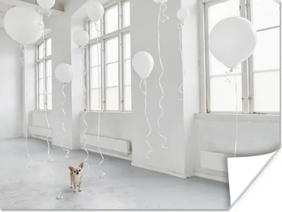 Produktbild von MuchoWow® Poster Hund - Weiß - Luftballon 120x90 cm - Wandbild