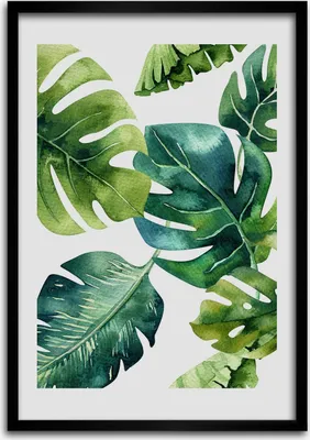 Produktbild von Bild - Bilderrahmen - Foto - 70 cm x 100 cm - MDF - Rahmen - Wandkunst - Tropische Blätter