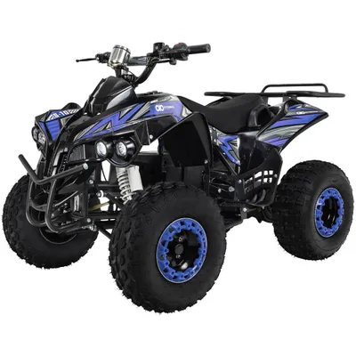Produktbild von Actionbikes Motors Elektro Kinderquad S-10 - 1000 Watt - Pocketquad (Schwarz/Blau)