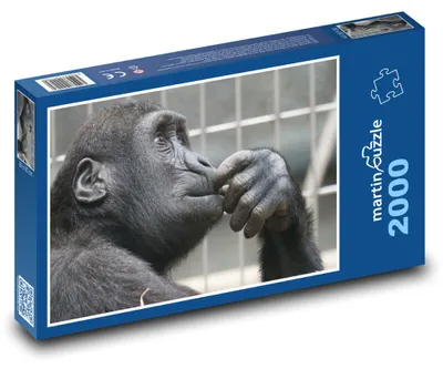 Obrázok produktu pre Puzzle 2000 Premýšľavá gorila v zoo - martinpuzzle