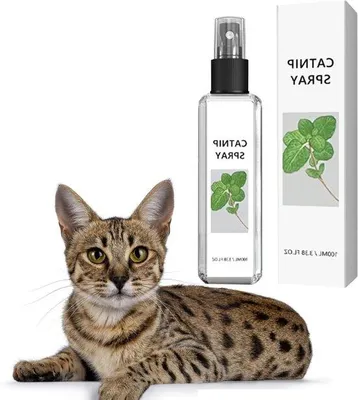 Zdjęcie produktu dla Spray z kocimiętką do treningu i relaksu