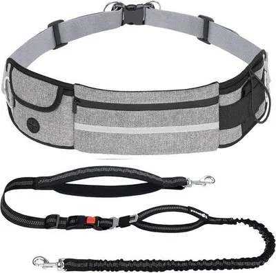 Produktbild von Famanu Joggingleine für Hunde mit Bauchriemen - elastisch, für große und mittelgroße Hunde