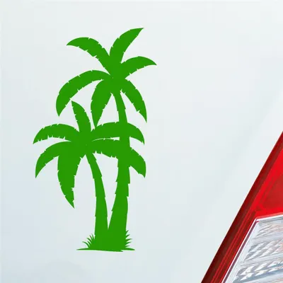 Produktbild von Auto Aufkleber Palme Palms Beach Strand Kokospalme Pflanze 5x10 cm Hellgrün Sticker Heckscheibenaufkleber