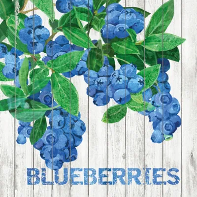 Produktbild von Servietten Harvest Blueberries 33 x 33 cm ppd 1332395