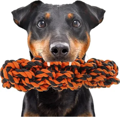 Obrázek produktu pro HappyPet Uzly Extrémní Kláda - mega pletený hryzák happypet