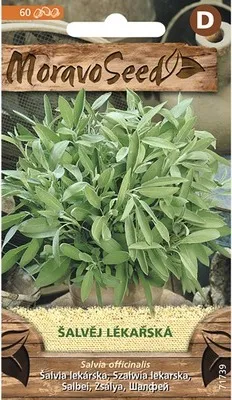 Immagine prodotto di Salvia sclarea 71739