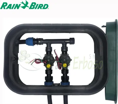 Produktbild von PA-DV-2-9V - 1" 2-Zonen-Ventilkasten mit Rain Bird Komponenten