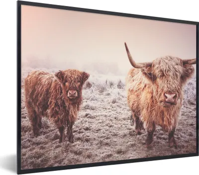 Produktbild von MuchoWow® Gerahmtes Poster Schottische Highlander - Schnee - Sonne 80x60 cm - Poster mit Schwarzem Bilderrahmen Wandposter Rahmen Foto Bilder - Schwarzem - Mit Gestell