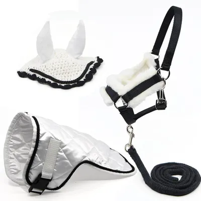 Productafbeelding van Set van witte accessoires voor een hobbypaard: hoofdstel, longeerlijn, deken en bitje