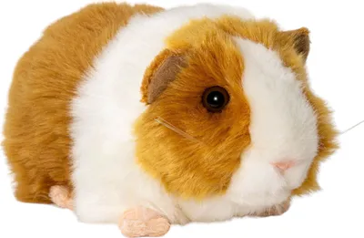 A plush toy guinea pig on a white background.