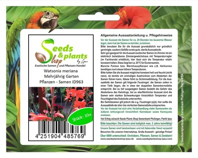 Produktbild von 10x Watsonia meriana Mehrjährig Garten Pflanzen - Samen ID963