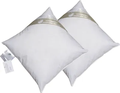 Produktbild von 2 Stück Hofmanns Kopfkissen 40x40 Kleinkissen Kuschelkissen 30% Daunen 200 g