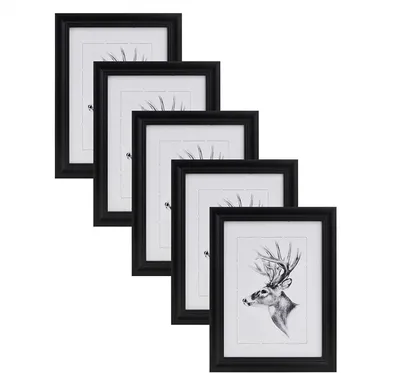 Produktbild von Set mit 5 Fotorahmen aus Holz mit Echtglas | Schwarz | 40x50cm