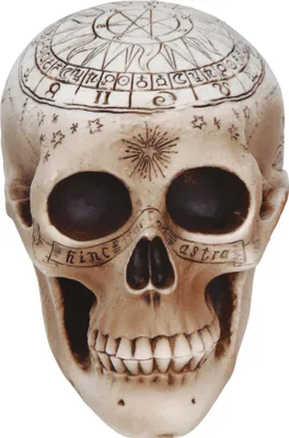 Immagine prodotto di Guirca Spiritist Skull 20 cm Taglia unica