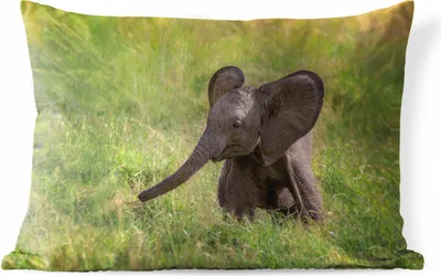 Produktbild von MuchoWow® Outdoor Kissen - Elefant - Baby - Kalb - 50x30 cm - Wetterfest - Lounge Kissen - Sofa kissen - Wohnzimmer Dekoration