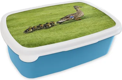 Produktbild von KitchenYeah® Lunchbox Brotzeit Brotdose 17x11 cm Ente mit Jungen im Gras Kinder Brotzeitdose - Lunch - Kunststoff  - Brotbüchse - Sandwichbox - Lunchbox für Kinder