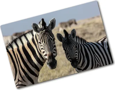 Produktbild von Tulup Glas Herdabdeckplatte - 80x52 cm - Glaskeramikkochfeld-Abdeckung Spritzschutz Glasabdeckplatte - Einteilig - Tiere - Zwei Zebras - Beige
