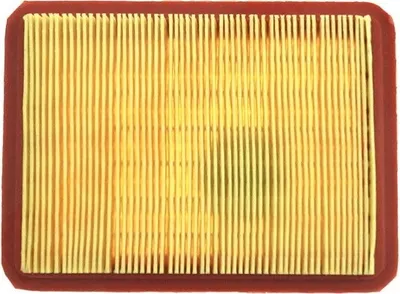 Productafbeelding van Luchtfilter voor Emak K40, K50 (artikelnummer: 66150155), Loncin 1P70Fa, afmetingen: 169 x 125 x 23 mm
