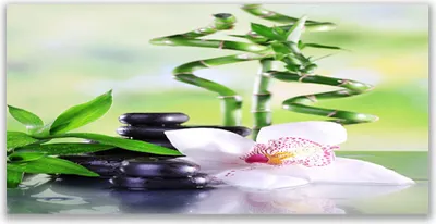 Produktbild von Tulup Leinwand-Bilder 120x60 Wandbild Canvas Kunstdruck Bambusrohre Blume Steine