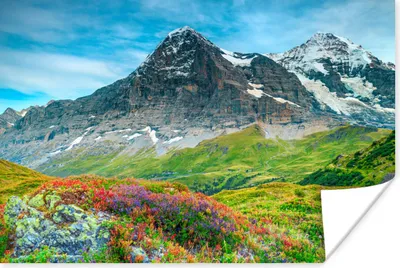 Produktbild von MuchoWow® Poster Blumenwiese in den Schweizer Alpen 120x80 cm - Bilder