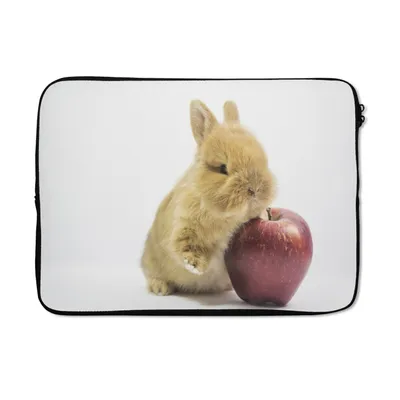 Produktbild von MuchoWow® Laptop Hülle 14 ZollKaninchen - Baby - Apfel Laptoptasche - Laptoptasche - Stoßsicher - Schutzhaube