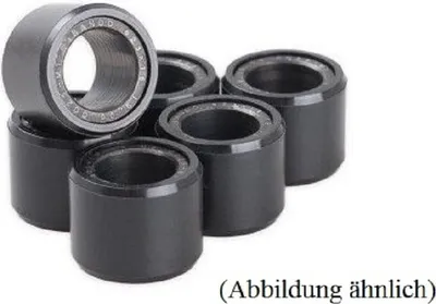 Produktbild von Variator-Rollen 10,0 g - 20 x 12 mm Set mit 6 Stück