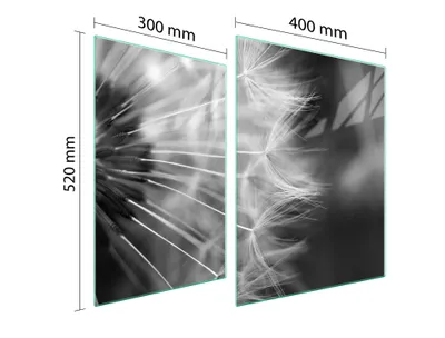 Produktbild von Glasschutzplatte Für Herd 70X52 Blume