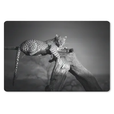 Produktbild von MuchoWow® Schreibtischunterlage Panther - Baum - Tiere - Schwarz - Weiß 60x40 cm - XXL Mauspad - Großes Mauspad