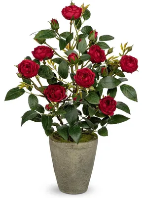 Zdjęcie produktu dla Rosenbusch, sztuczne kwiaty w doniczce, ciemnoczerwone, wysokość 38 cm