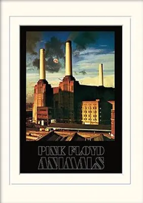 Obrázek produktu pro Pink Floyd – Animals s paspartou – 30 x 40 cm – Plakát