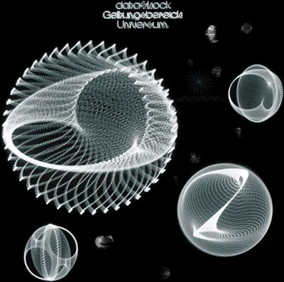 Obrázek produktu pro Datashock: Geltungsbereich Universum -   - (CD / G)