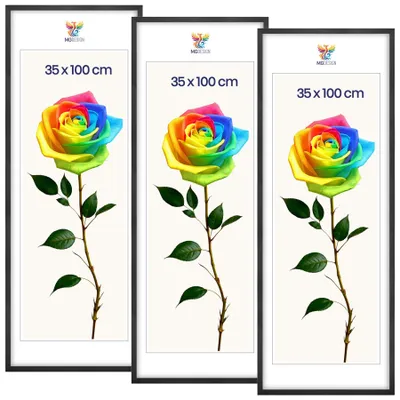 Produktbild von MG Design 3er Set Bilderrahmen Schwarz 35x100 cm - Posterrahmen Echtholz mit Acrylglas, verstärkte Wandaufhängung, hoch/quer