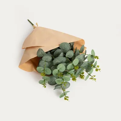 Produktbild von HOMLA Künstlicher Zweig EUUKA, grüner Eukalyptus, 46 x 33 x 46,5 cm