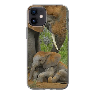 Produktbild von MuchoWow® Handyhülle Schutzhülle Hülle für iPhone 12 Elefant - Tiere - Sand - Natur Silikon Softcase Handy Hülle - Schutzhülle