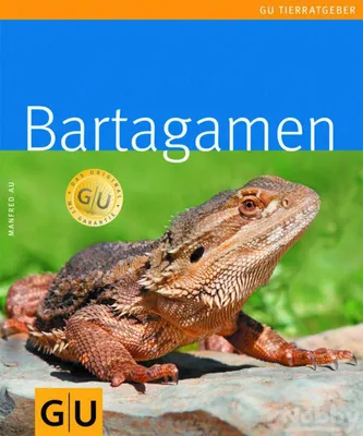 Obrázok produktu pre Bartagamen