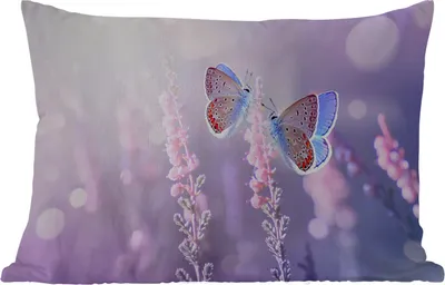 Produktbild von MuchoWow® Outdoor Kissen - Schmetterling - Lavendel - Blumen - Lila - 60x40 cm - Wetterfest - Lounge Kissen - Zierkissen - Kissen für Innenräume