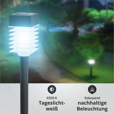 Produktbild von LED Solar-Gartenleuchte Wegeleuchte Erdspieß 0,08W 6500K 1,5lm L57xB57xH398mm