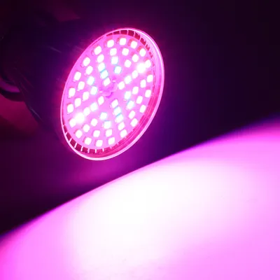 A close-up shot of a pink LED plant grow light emitting a bright pink light.