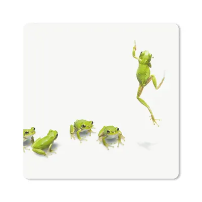 Produktbild von MuchoWow® Mauspad Mousepad Frosch - Tiere - Grün 20x20 cm - Mousepads - Maus Mat - Pad - Mausunterlage - Desk Mat - Bureauartikeln