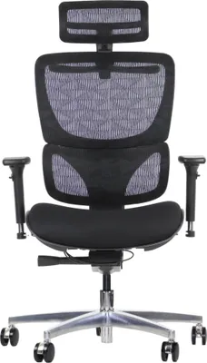 Immagine prodotto di Sedia girevole ergonomica da ufficio ErgoNew S1A, base in alluminio, braccioli regolabili, poggiatesta, seduta e schienale regolabili, nero