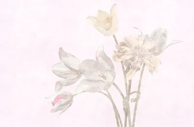 Produktbild von Tadessi Fototapete | Blumen | 4.00 m  x 2.70 m | Violette | Gelb | Wandbild | Digitaldruck