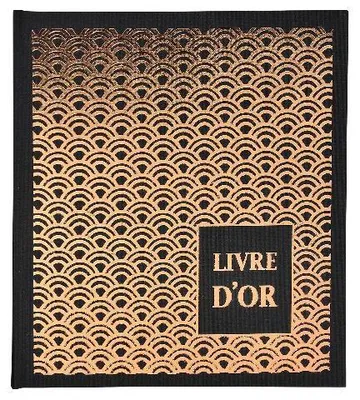 Image de Exacompta 2x Livre d'or 140p. tranche or 21x19cm PALMYRE Visuels assortis 951E