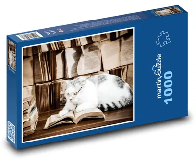 Zdjęcie produktu dla martinpuzzle - Puzzle 1000 - Kot i książki