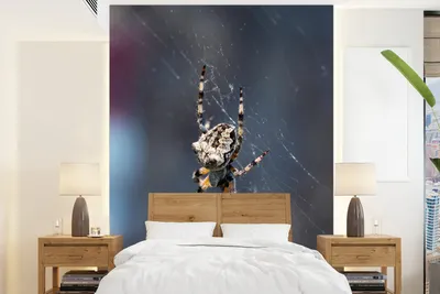 Produktbild von MuchoWow® Fototapete für Wohnzimmer oder Schlafzimmer Wandtapete Vinyl Motivtapete Große Spinne im Spinnennetz - 190x260 cm - Papiertapete